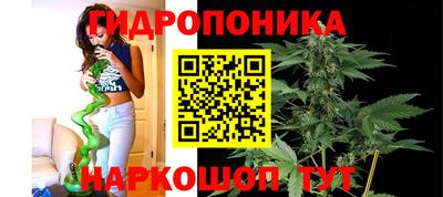 молекула духа Можайск