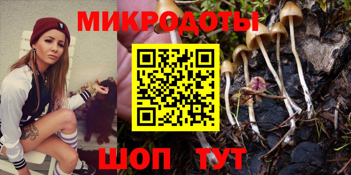 Галлюциногенные грибы MAGIC MUSHROOMS  Вход с VPN  наркота  Химки 