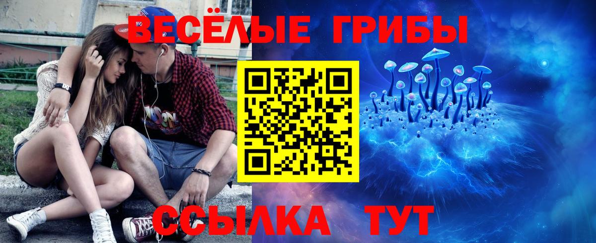 Галлюциногенные грибы Magic Shrooms Химки