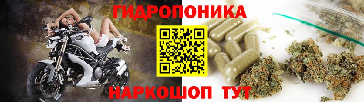 Конопля марихуана Химки